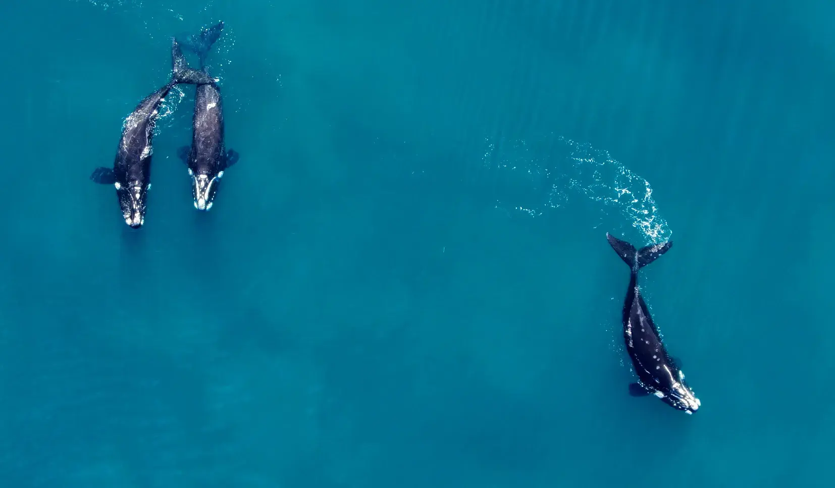 Atardecer en la bahía