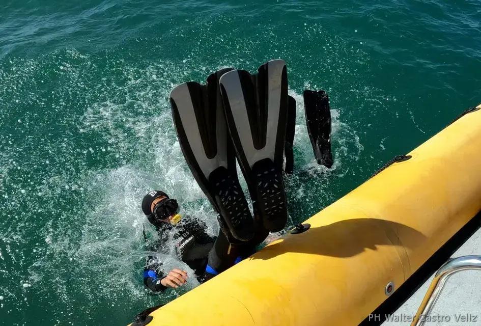 Salto al agua desde la embarcación